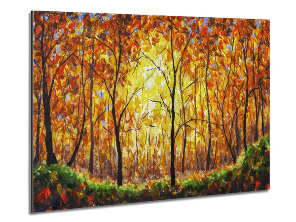 Summertime Forest Metal Print