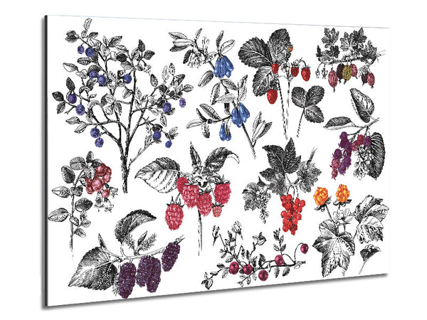 Collage Of Flowers And Berries Metal Print