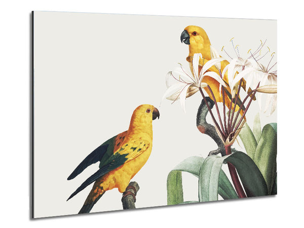 Two Yellow Parrots Metal Print