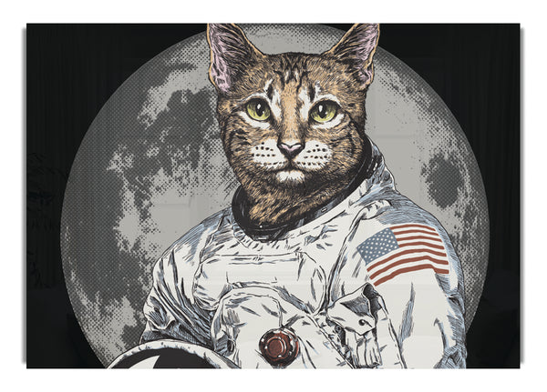 Cat Astronaut