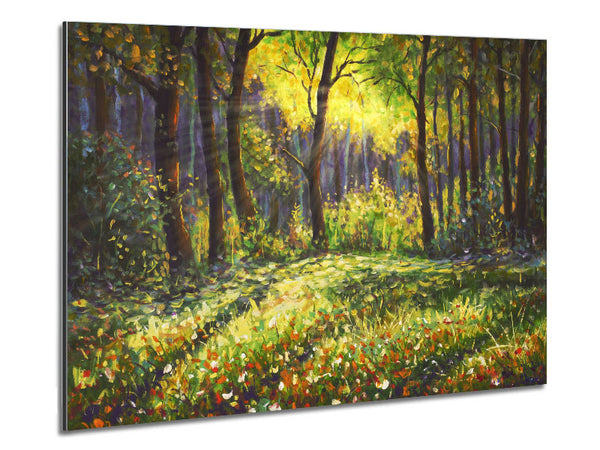 Sonnenschein durch die Wälder
