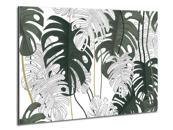 Cheese Plant Leaves Metal Print