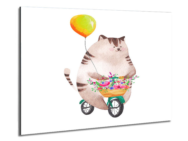 Cat Riding A Bike Metal Print