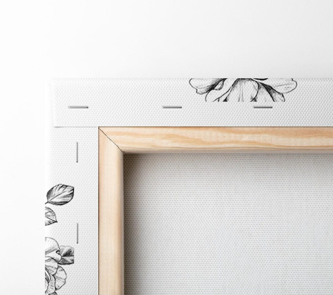  A Canvas Print of Death Head Moth Canvas Wall Art