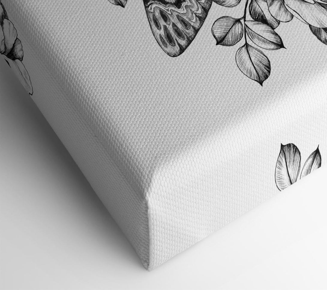  A Canvas Print of Death Head Moth Canvas Wall Art