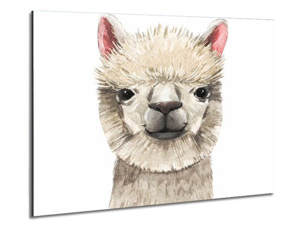 Llama Drama Metal Print