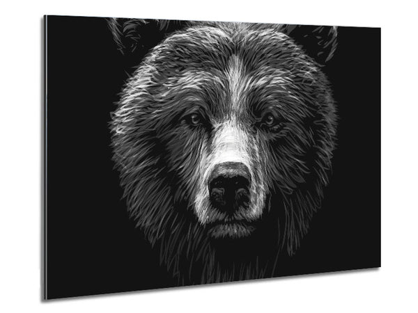 Black And White Bear Face Metal Print