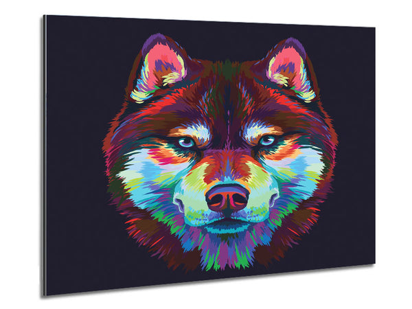 Vibrant Wolf Blues Metal Print