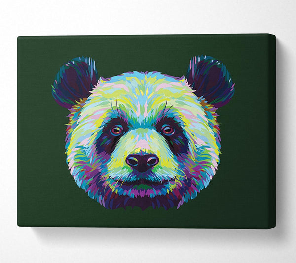  A Canvas Print of The Panda Head Canvas Wall Art