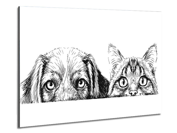Cat And Dog Peep Metal Print