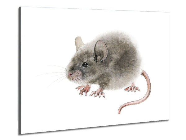 Cute Little Mouse Metal Print