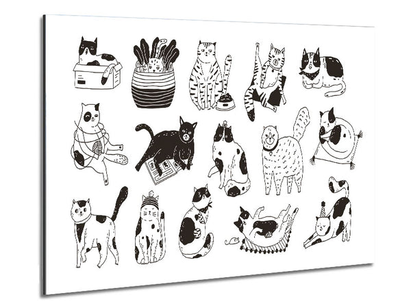 Collection Of Funny Cats Metal Print