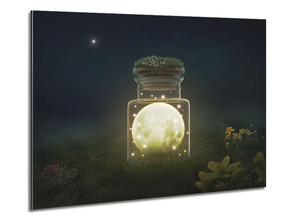 Moon In A Jar Metal Print
