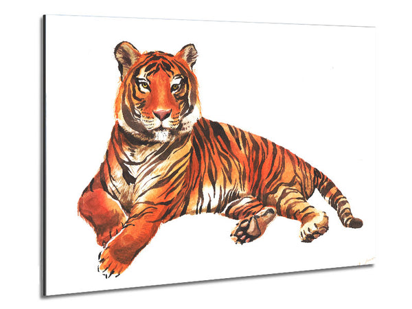Tiger Laying Down Metal Print