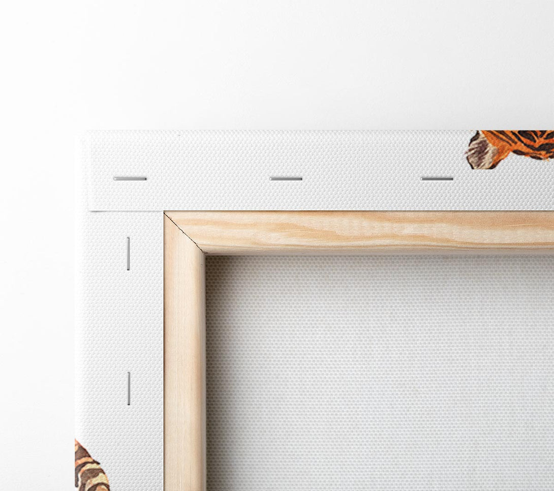  A Canvas Print of Tiger Laying Down Canvas Art
