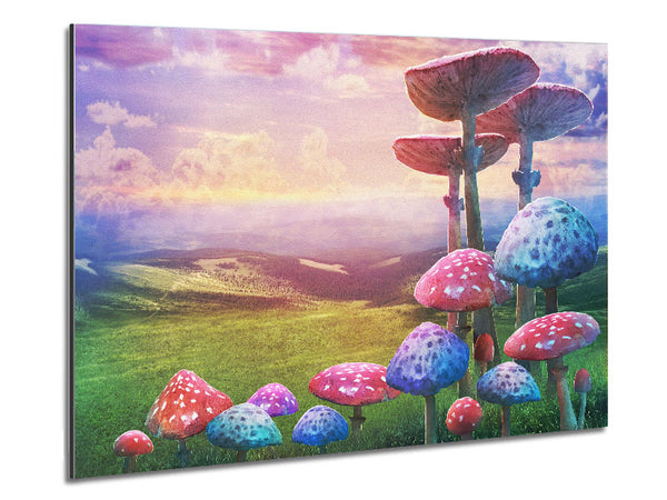 Tall Mushrooms In The Valley Metal Print