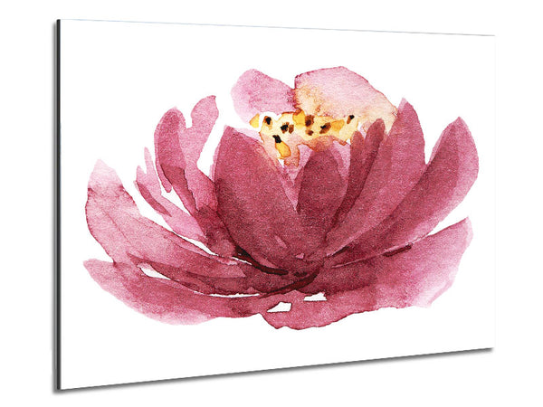 The Pink Flower Opening Metal Print