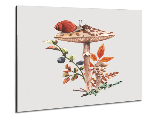 The Lone Toadstool Metal Print