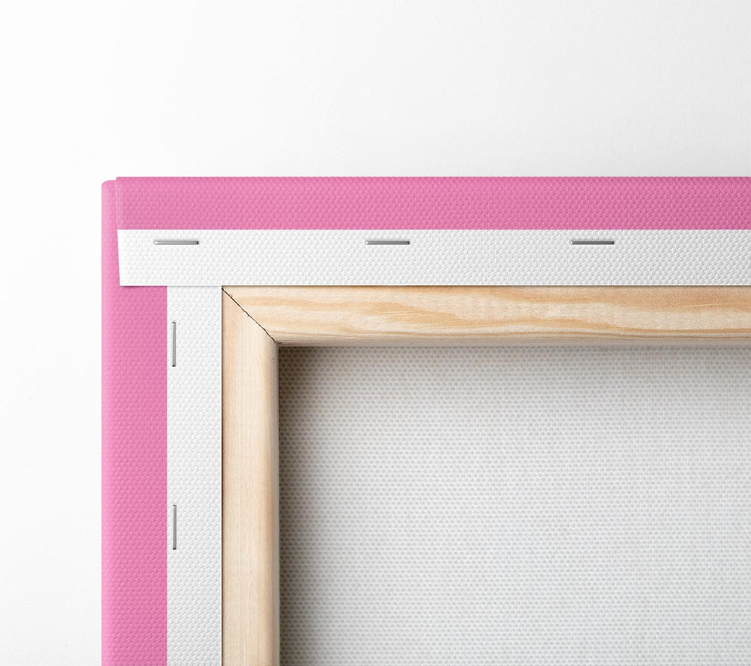  A Canvas Print of The Pink Elephant Canvas Art
