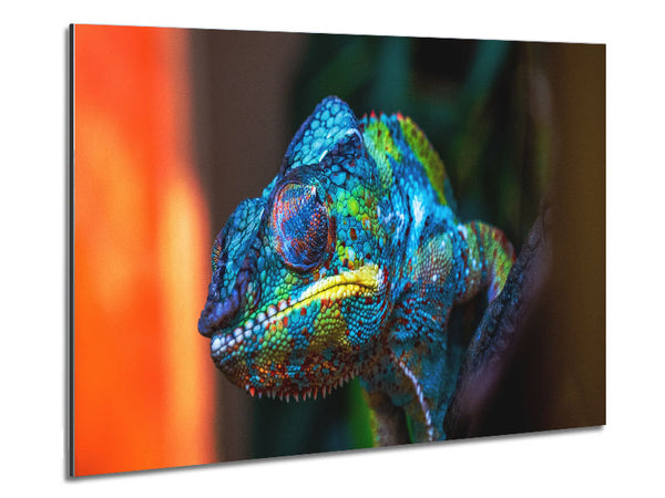 Chameleon Up Close Metal Print