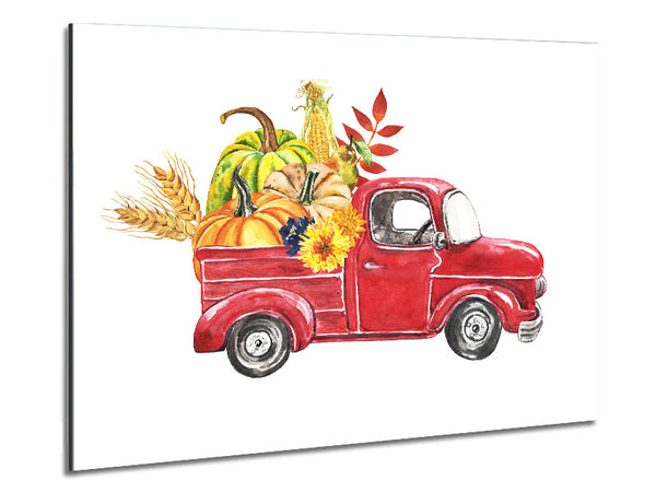Farming The Squash Metal Print