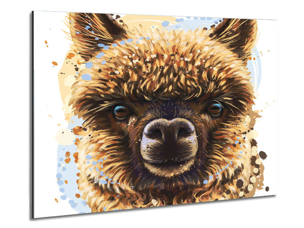 Alpaca Stare Metal Print