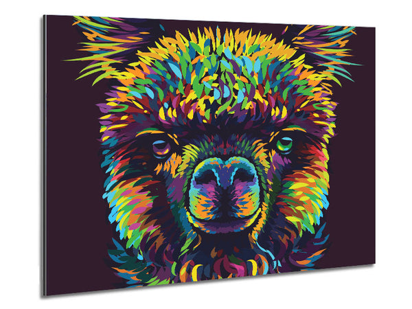 Alpaca In Colour Metal Print