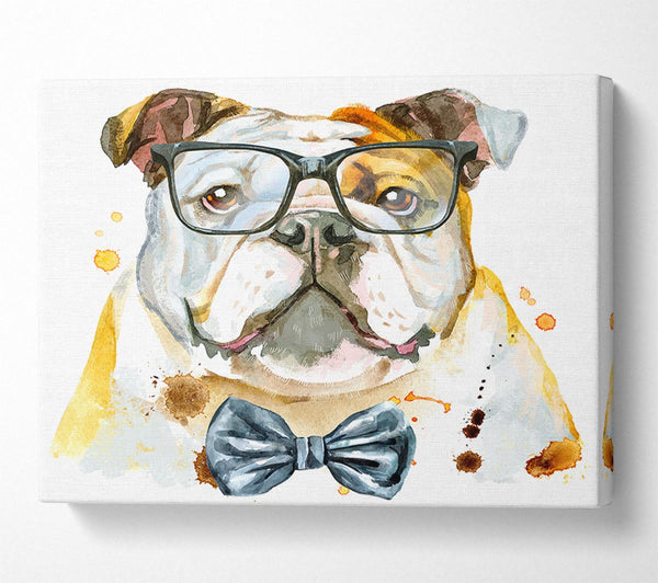  A Canvas Print of The Bulldog With Glasses Canvas Wall Art
