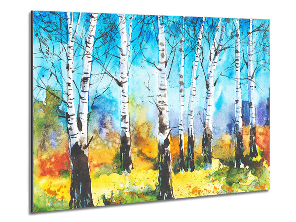 The Beautiful Birch Trees Metal Print