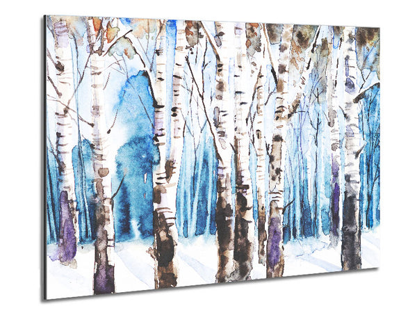 The Beautiful Birch Trees In The Snow Metal Print