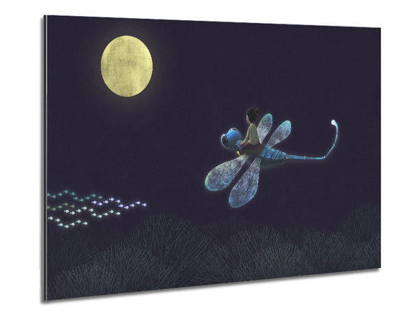 Riding On The Dragonfly Metal Print