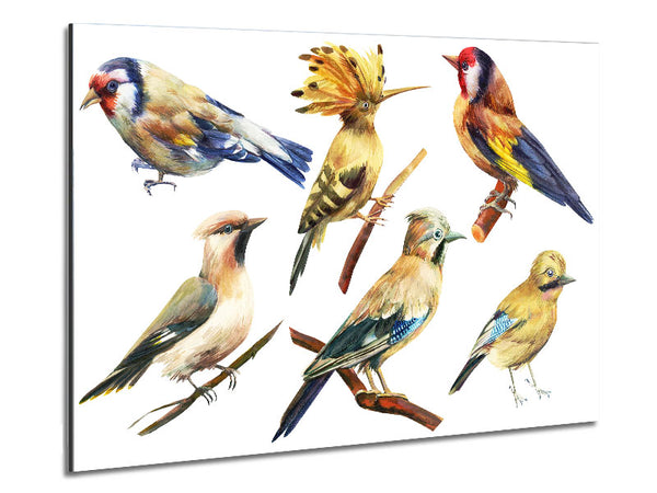 Birds Of Beauty 2 Metal Print