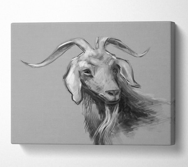  A Canvas Print of The Sketch Goat Canvas Art