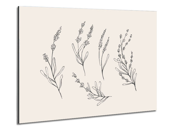 The Fine Flowers Of Britain Metal Print