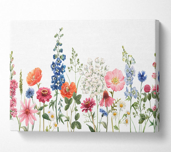  A Canvas Print of Flowers In The Meadow Canvas Print