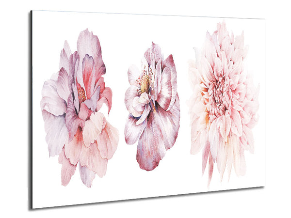 Three Pink Flower Beauty Metal Print