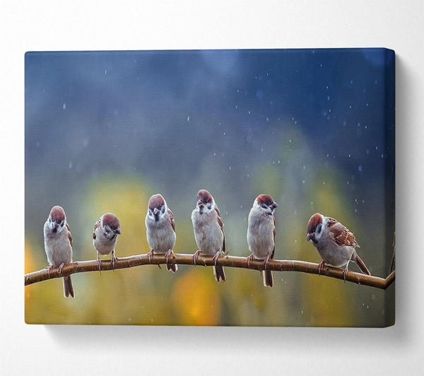  A Canvas Print of The Tits On A Branch Canvas Print