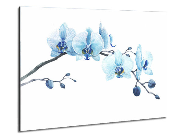 The Blue Orchid Curve Metal Print