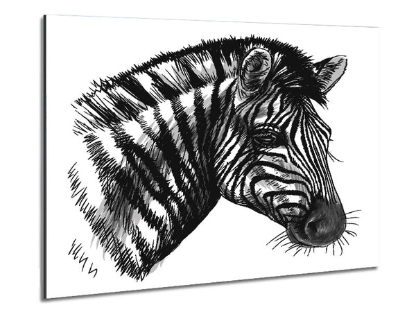 Black And White Zebra Head Metal Print