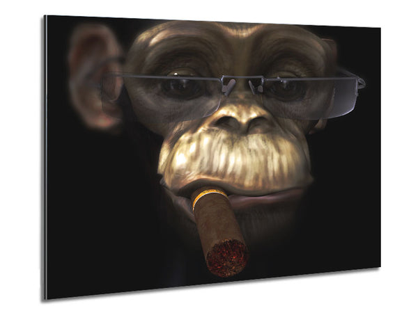 The Chimp Cigar Smoker Metal Print