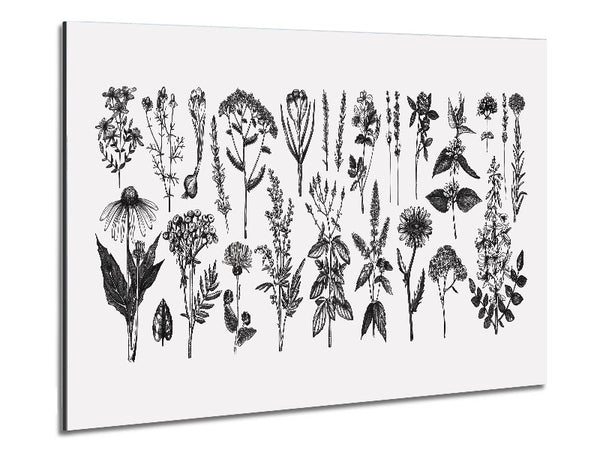 The Small Plant Collection 2 Metal Print