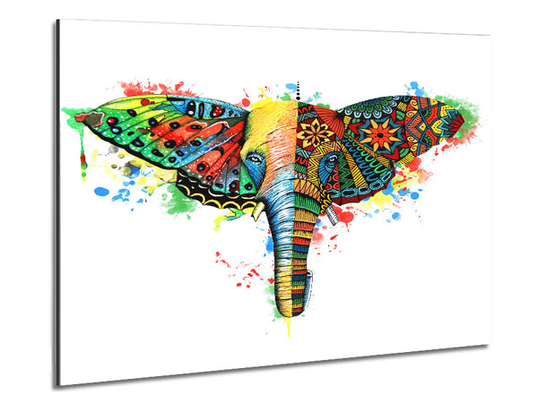 Elephant Ear Butterfly Metal Print
