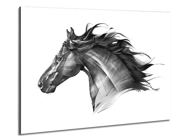 Black Horse Flow Metal Print