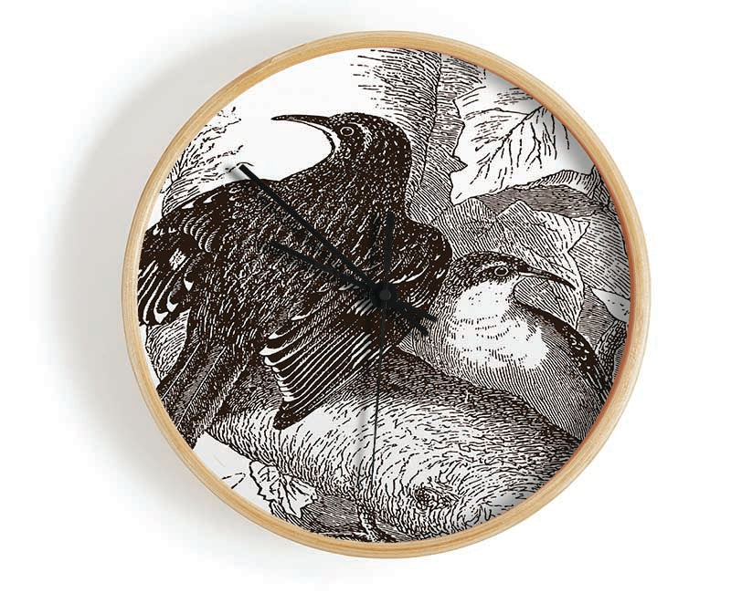Old British Illustration Of Birds Clock - Wallart-Direct UK