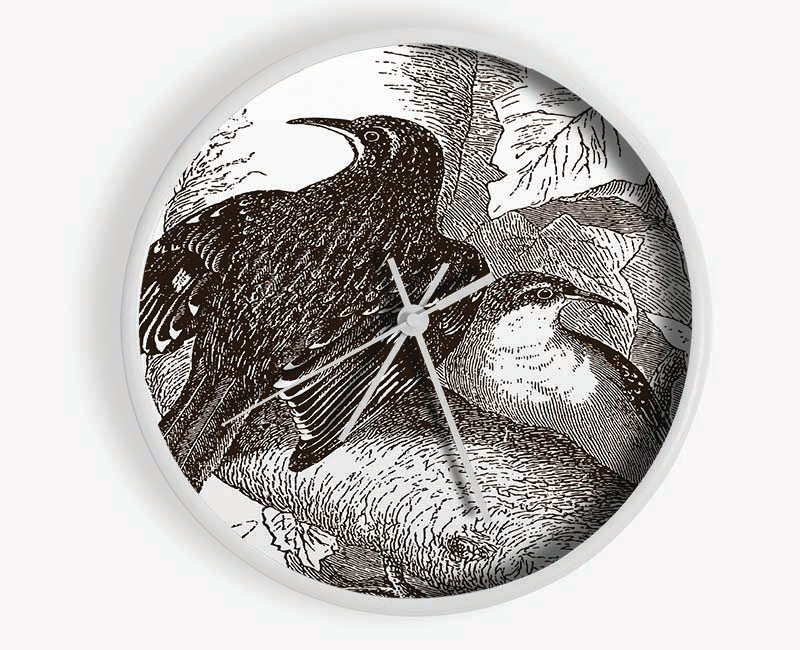 Old British Illustration Of Birds Clock - Wallart-Direct UK