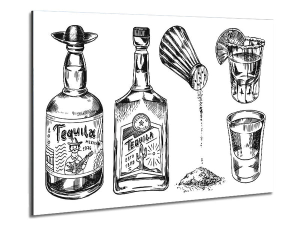 Get The Tequilas In Metal Print