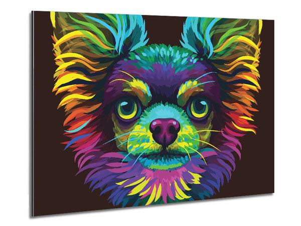 Chihuahua Stare Head Metal Print