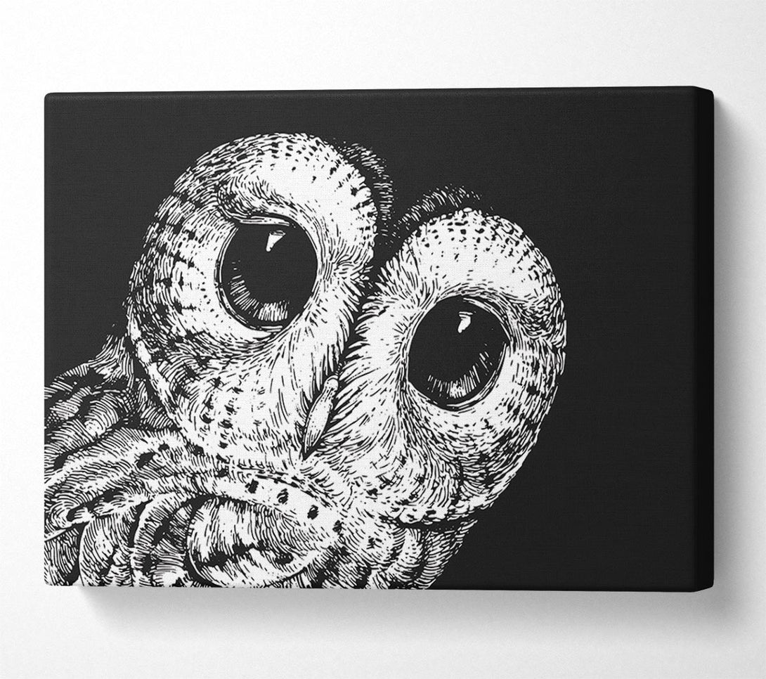  A Canvas Print of The Big Eyed Owl Canvas Art