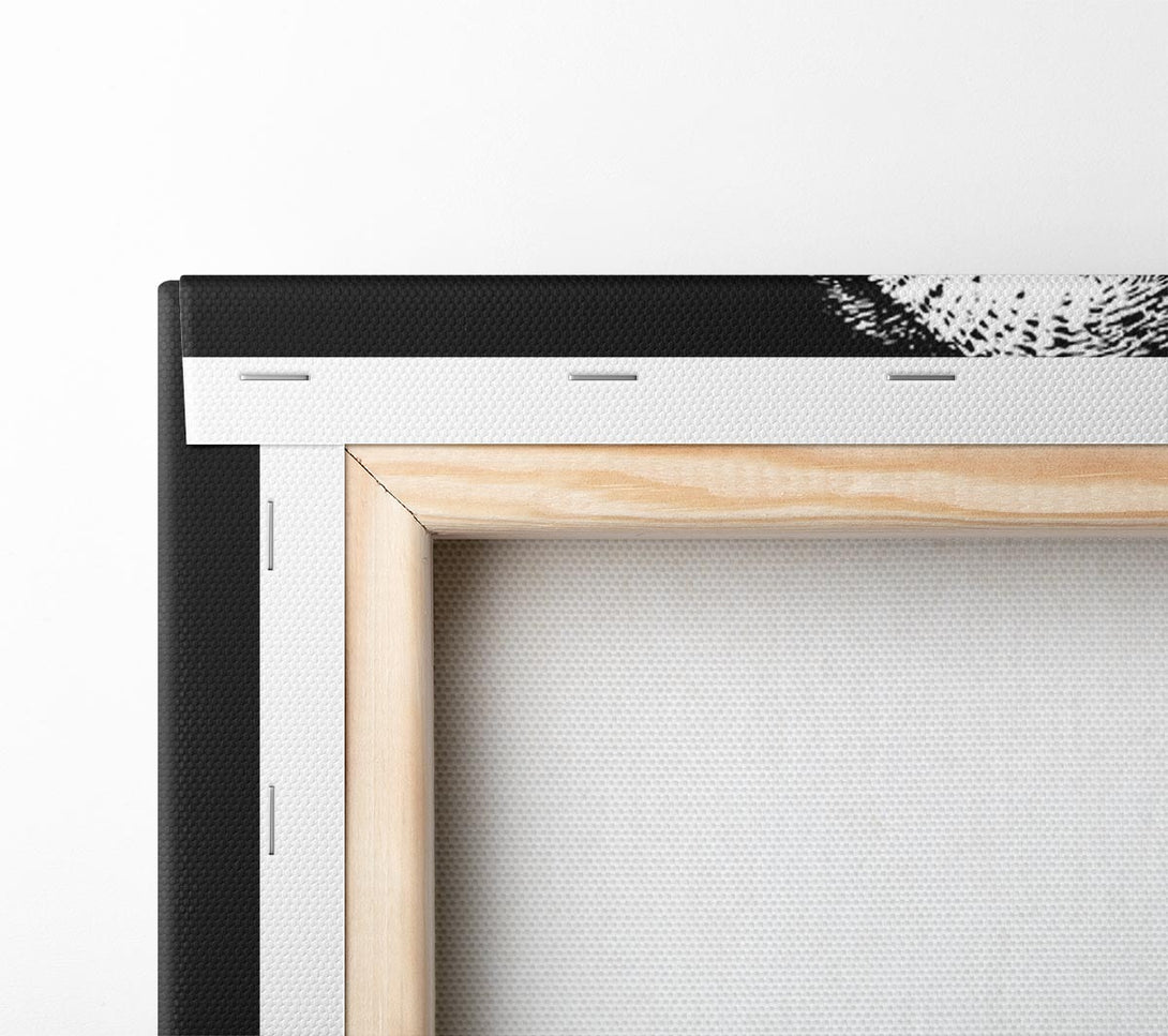  A Canvas Print of The Big Eyed Owl Canvas Art