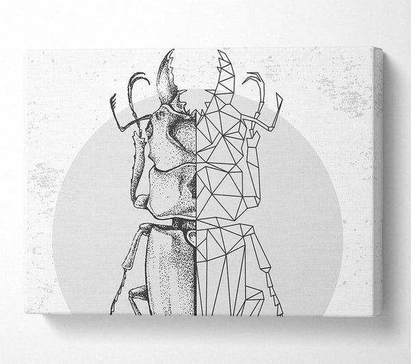  A Canvas Print of The Stag Beetle Sketch Canvas Art